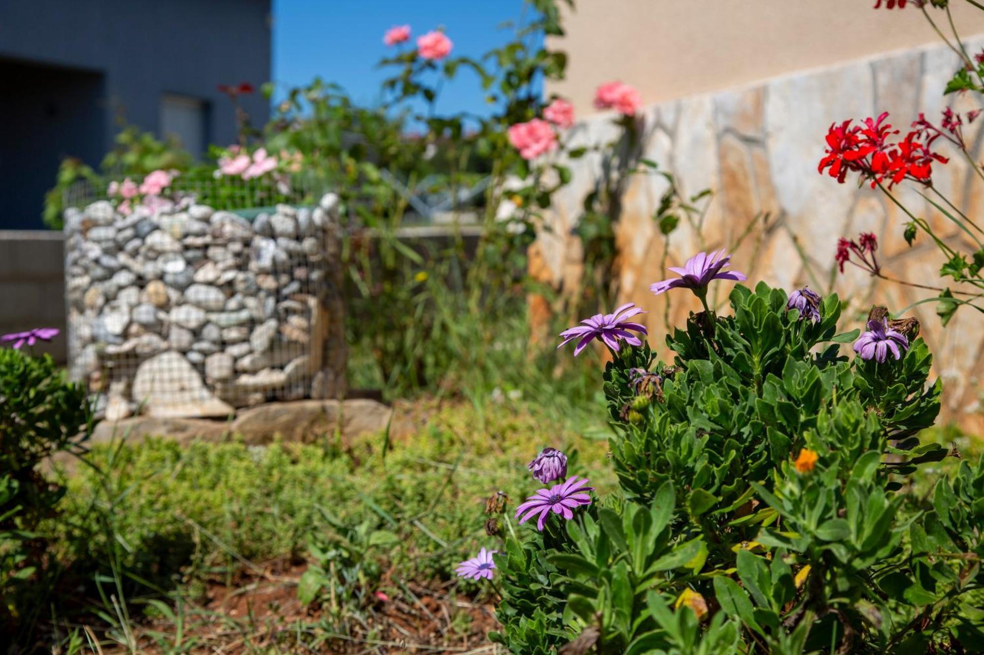 Apartman Viki Stinjan PUY Exterior foto